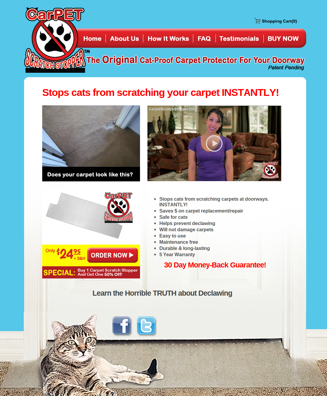 Web Design - Infomercial